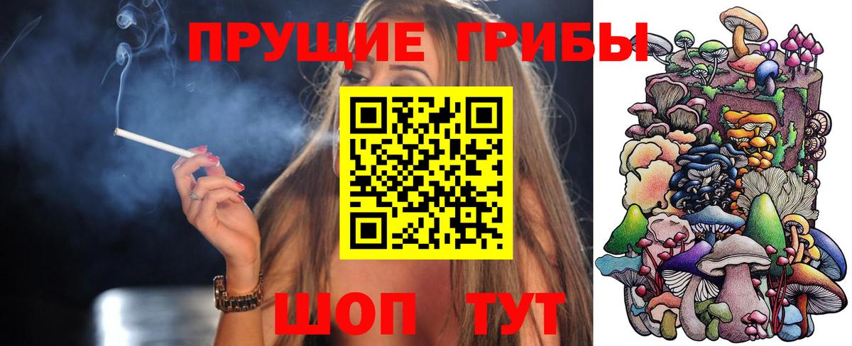 Мегион  Галлюциногенные грибы Cubensis  Вход с VPN 
